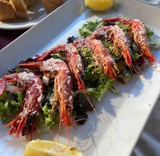 Casa Nola
